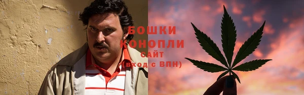 мдпв Михайловск