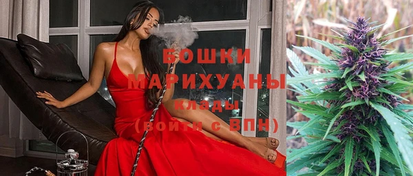мдпв Михайлов