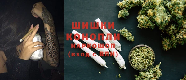 мдпв Михайлов