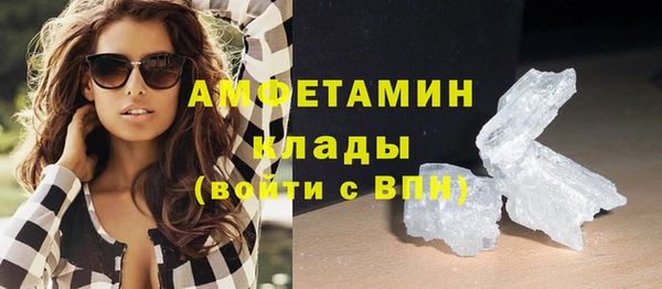 мдпв Михайлов