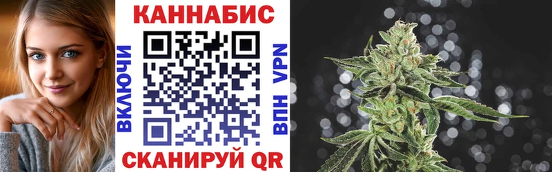 Купить где  Чадан  Бошки марихуана MAZAR 